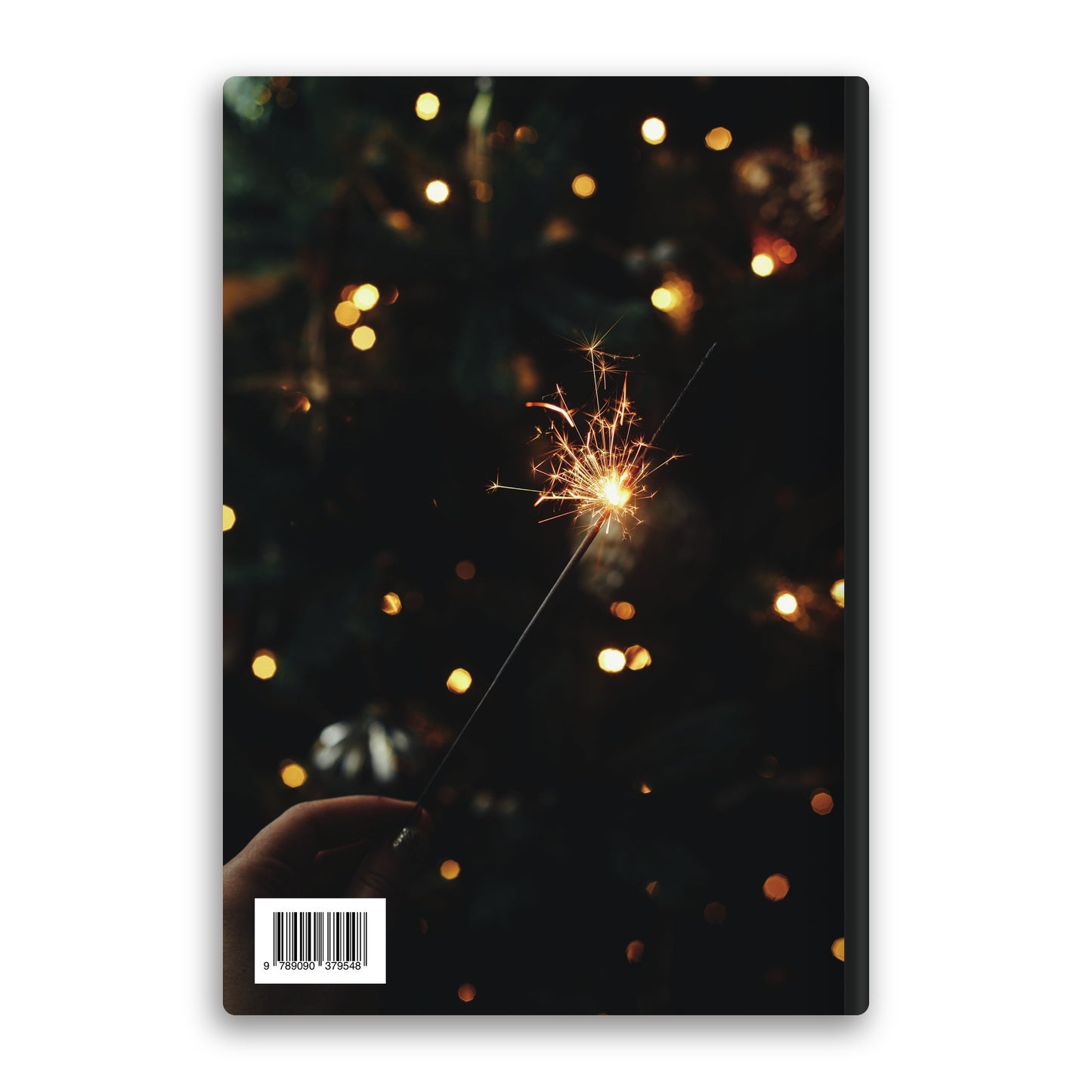 Feestdagen Special - achterkant