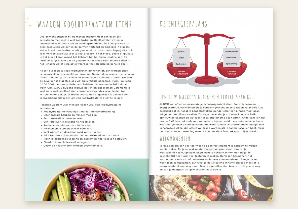 Koolhydraatarme Startgids inkijk: Waarom koolhydraatarm eten