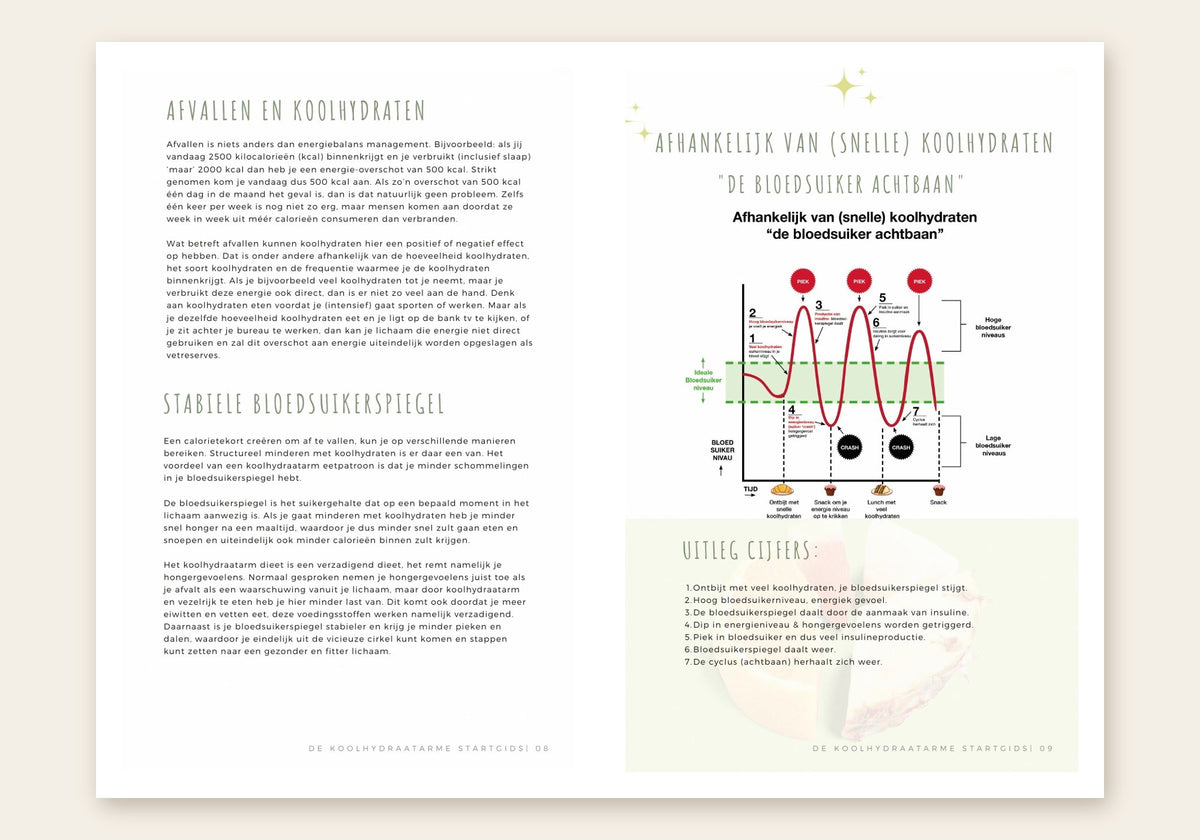 Koolhydraatarme Startgids: uitleg koolhydraatarm dieet