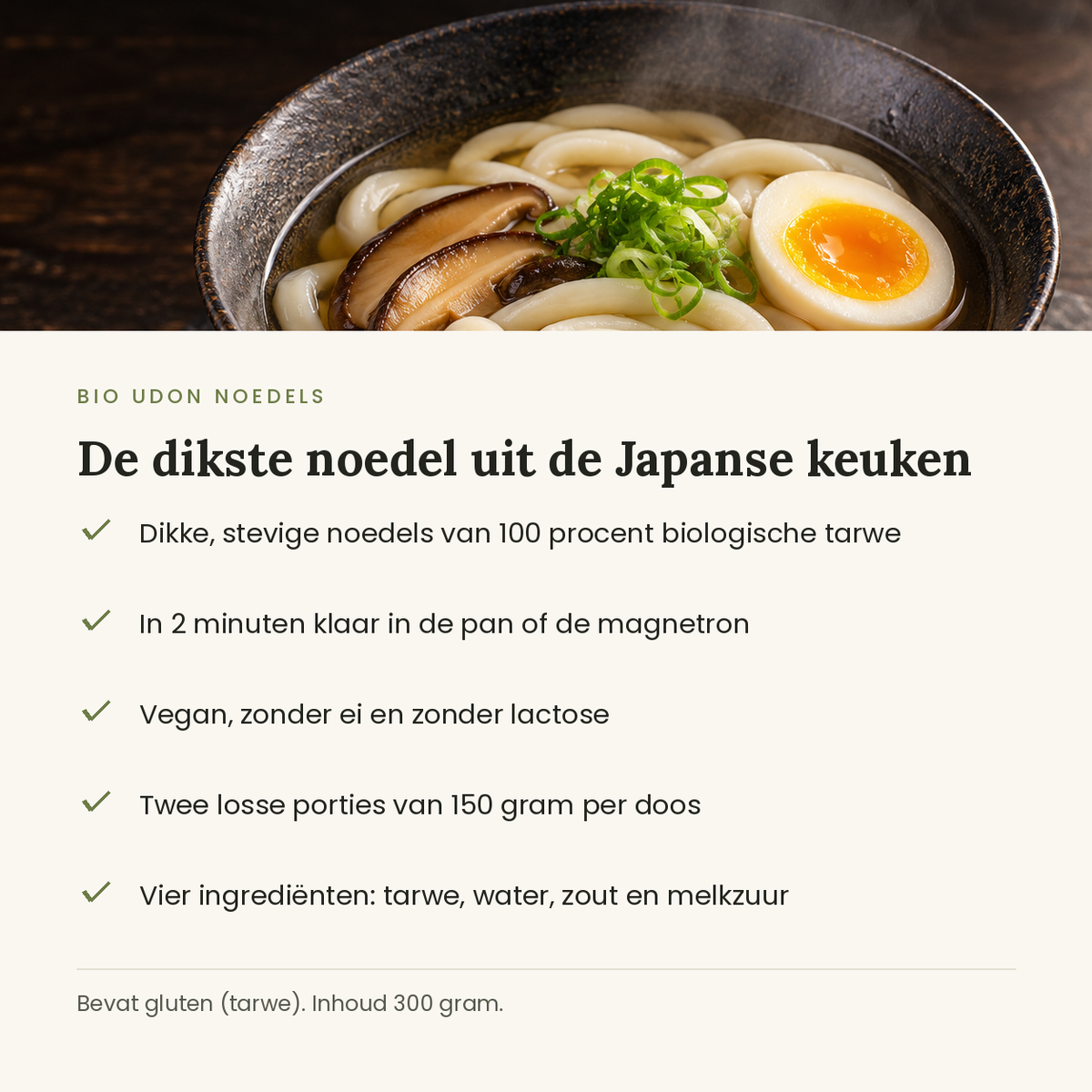 Udon noedels kenmerken